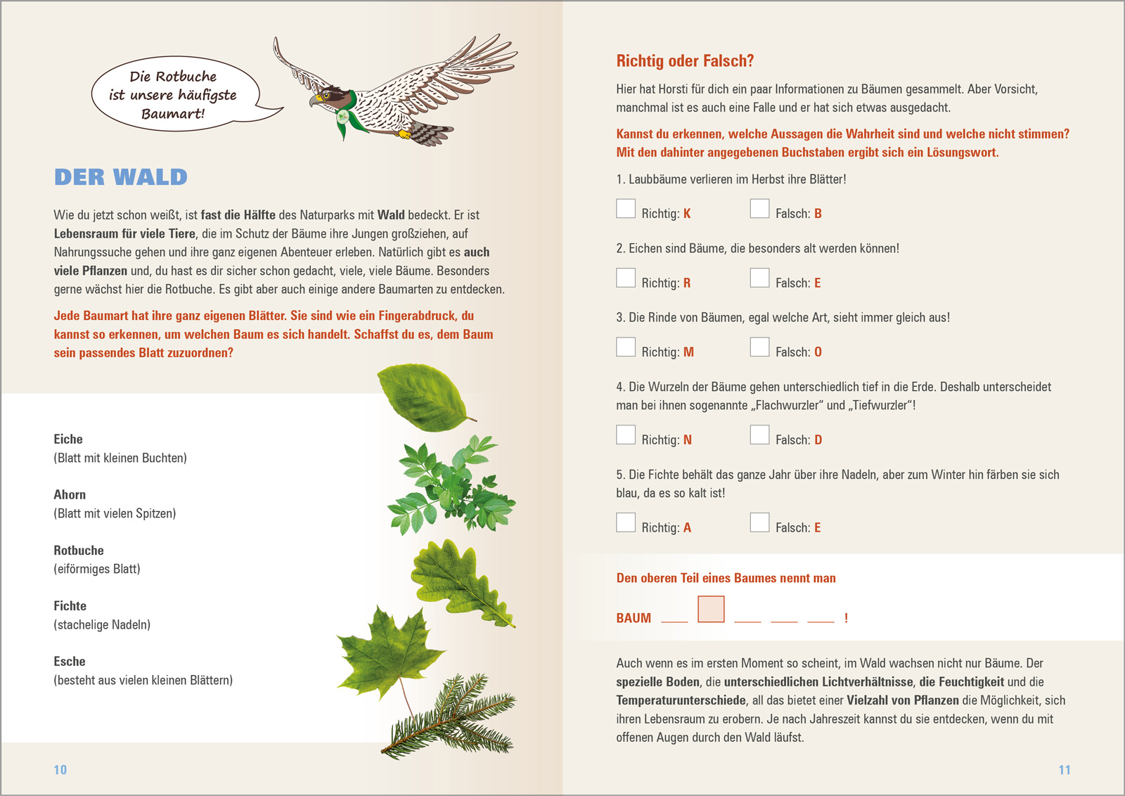 NP-Habichtswald-Entdeckerheft-5