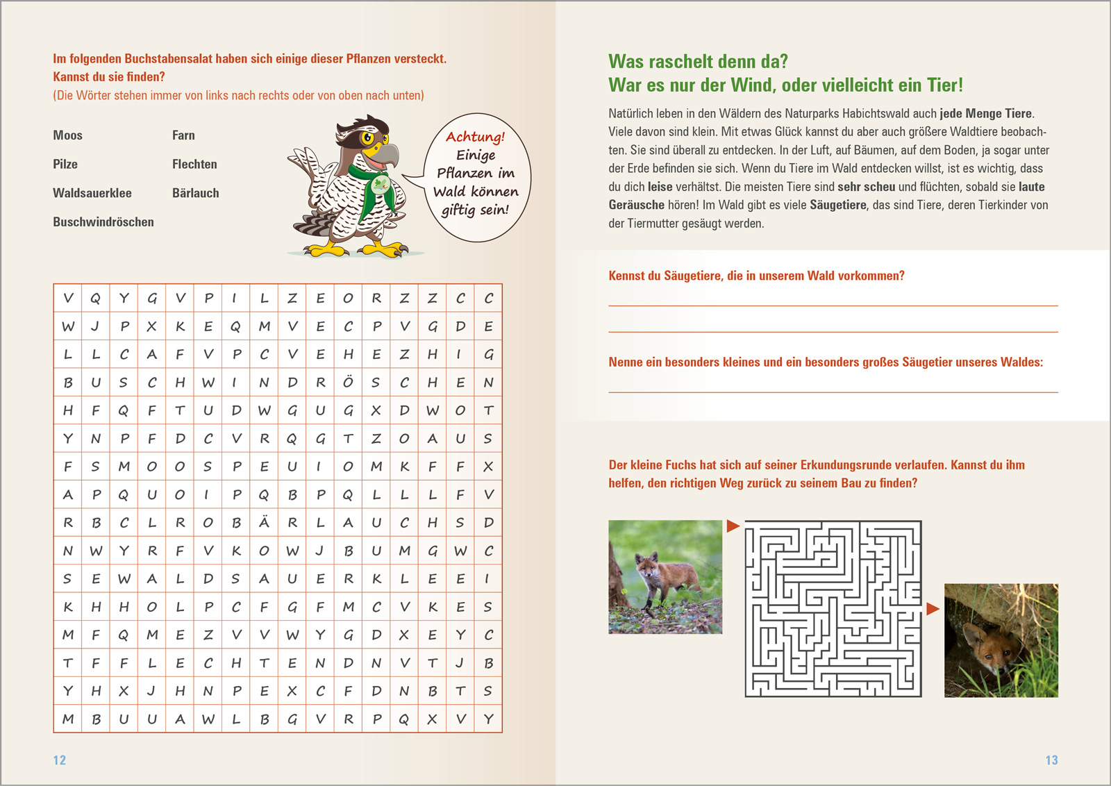 NP-Habichtswald-Entdeckerheft-6