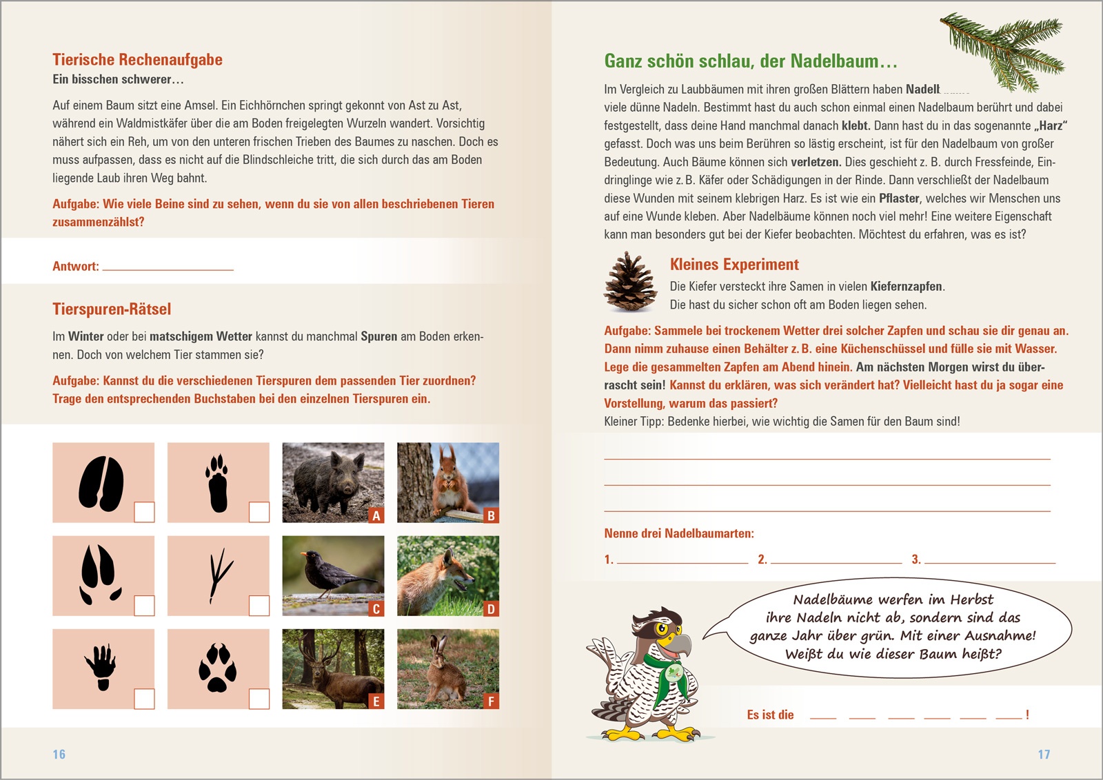 NP-Habichtswald-Entdeckerheft-7