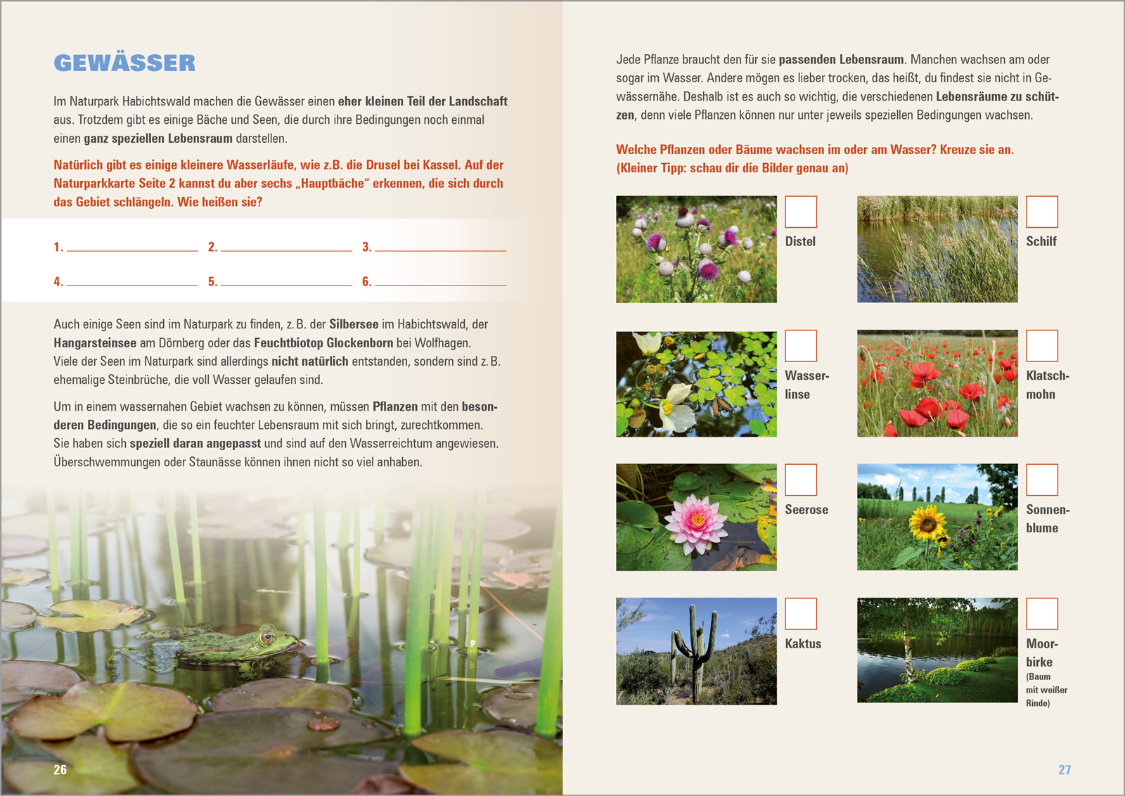 NP-Habichtswald-Entdeckerheft-8