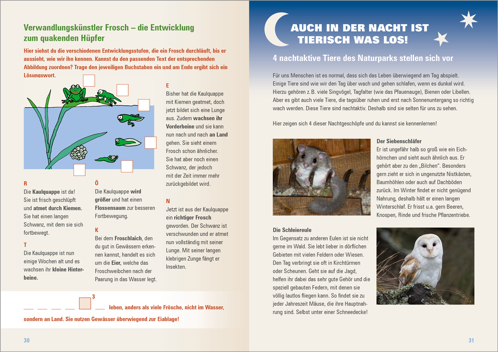 NP-Habichtswald-Entdeckerheft-9