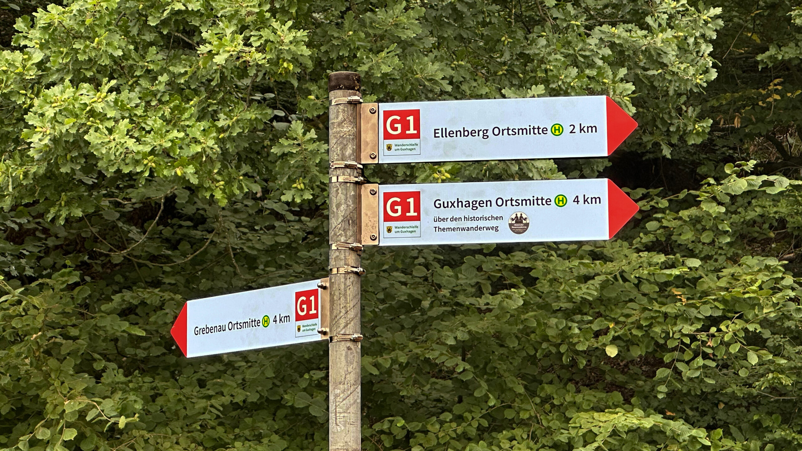 Guxhagen-Wanderschleife-G1-IMG_0353 korr