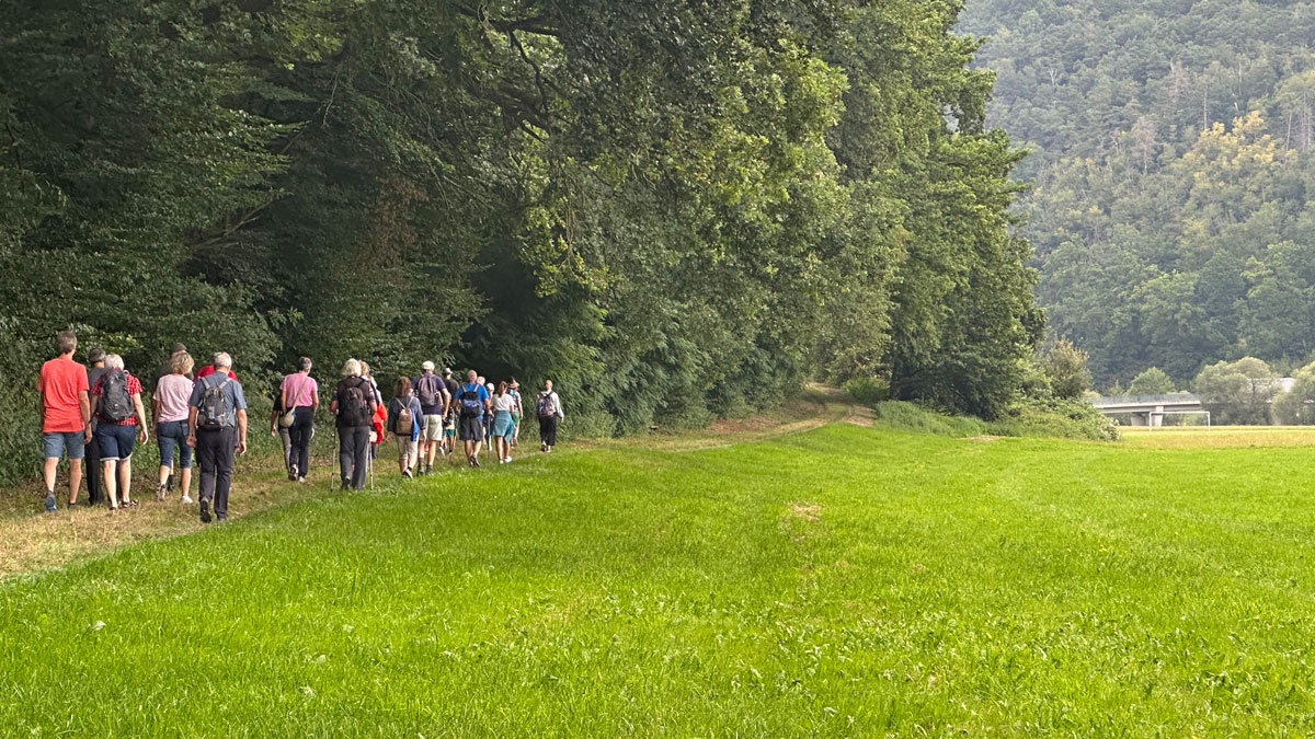 Guxhagen-Wanderschleife-G1-IMG_0379